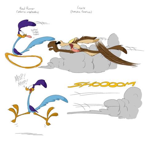 Road Runner and Wile E. Coyote cartoon collection v2 (download .